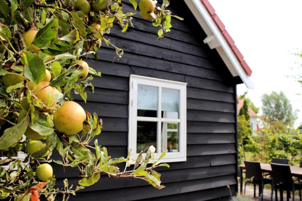 Villa 'T Schouws Uusje Burgh-Haamstede Esterno foto