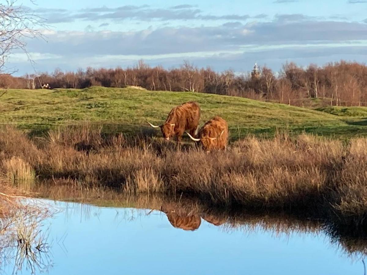 Villa 'T Schouws Uusje Burgh-Haamstede Esterno foto
