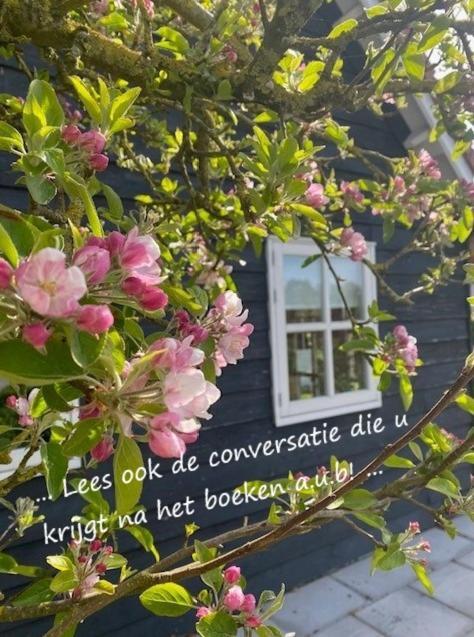 Villa 'T Schouws Uusje Burgh-Haamstede Esterno foto